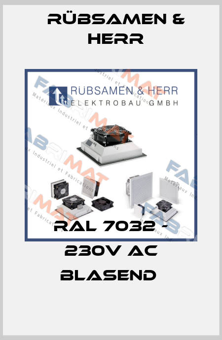 RAL 7032 - 230V AC blasend  Rübsamen & Herr