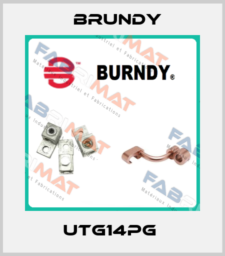 UTG14PG  Brundy