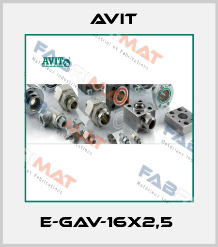 E-GAV-16x2,5  Avit