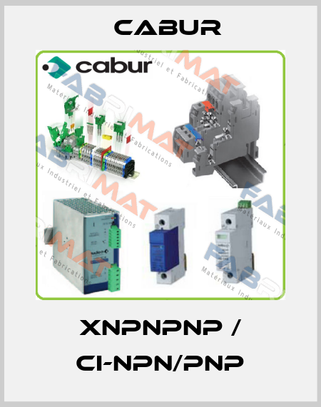 XNPNPNP / CI-NPN/PNP Cabur
