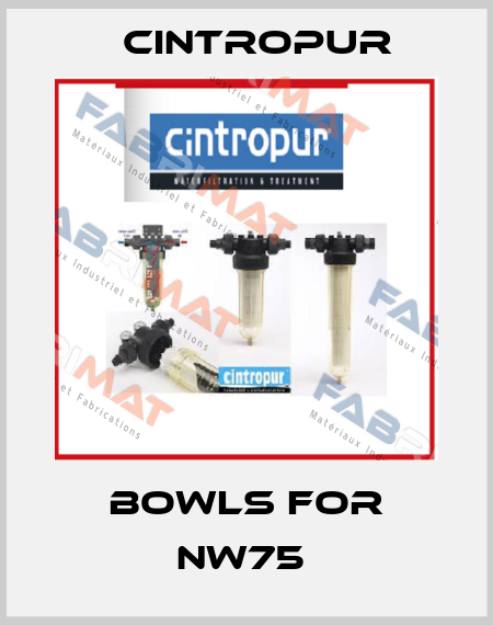 bowls for NW75  Cintropur