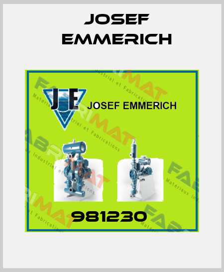 981230  Josef Emmerich