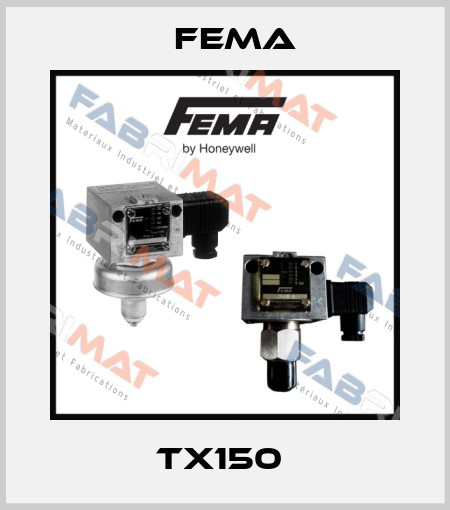 TX150  FEMA