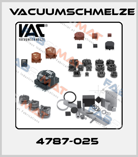 4787-025  Vacuumschmelze