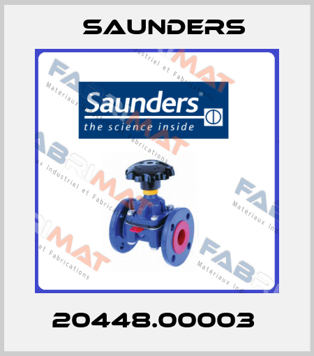 20448.00003  Saunders