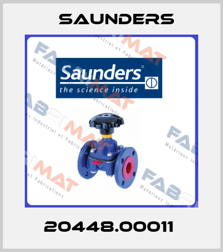 20448.00011  Saunders