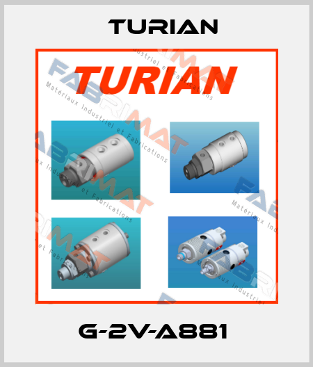 G-2V-A881  Turian