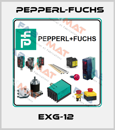 EXG-12  Pepperl-Fuchs