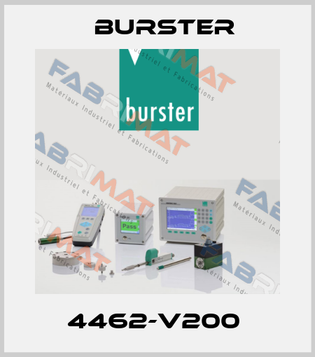 4462-V200  Burster