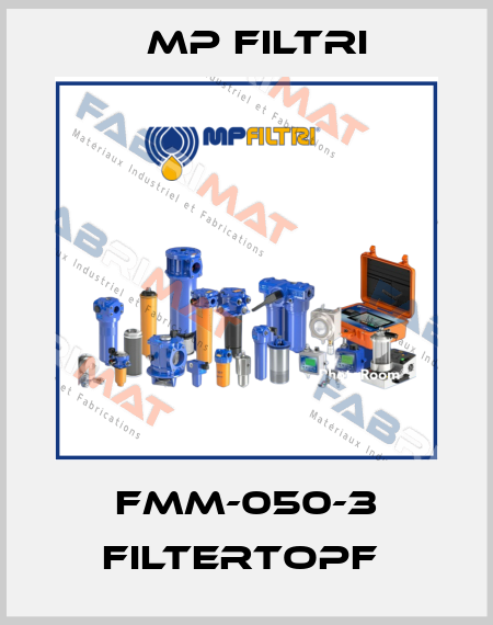 FMM-050-3 FILTERTOPF  MP Filtri