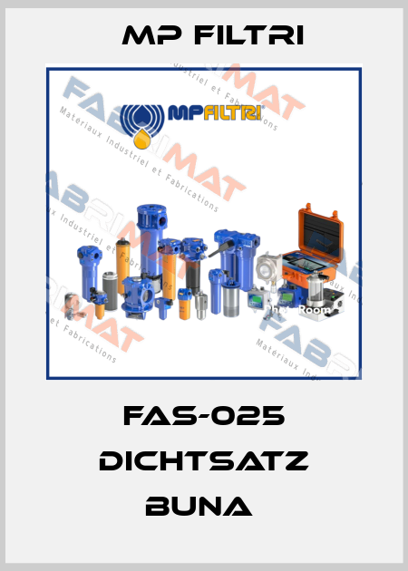 FAS-025 DICHTSATZ BUNA  MP Filtri