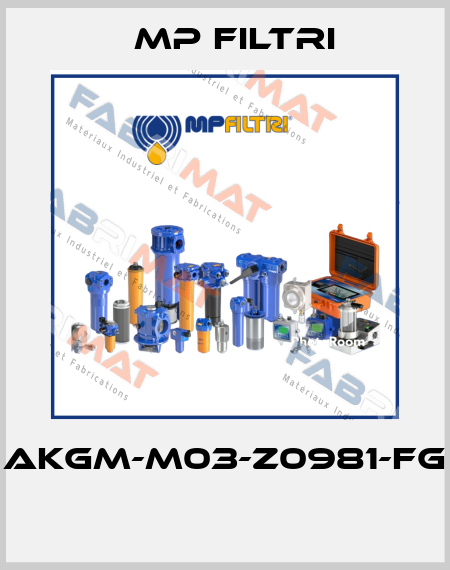 AKGM-M03-Z0981-FG  MP Filtri