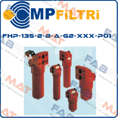 FHP-135-2-B-A-G2-XXX-P01  MP Filtri