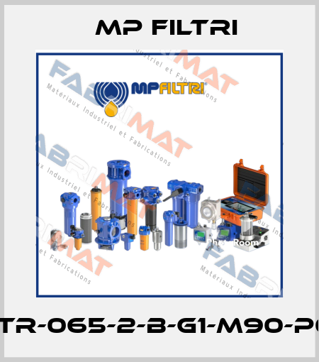 STR-065-2-B-G1-M90-P01 MP Filtri