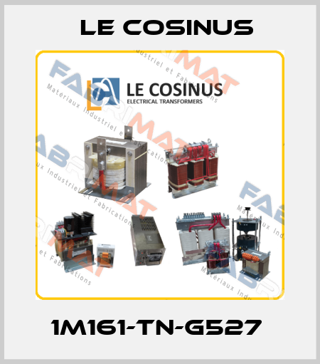 1M161-TN-G527  Le cosinus