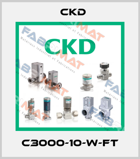 C3000-10-W-FT Ckd