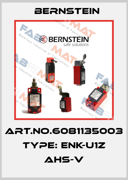 Art.No.6081135003 Type: ENK-U1Z AHS-V Bernstein