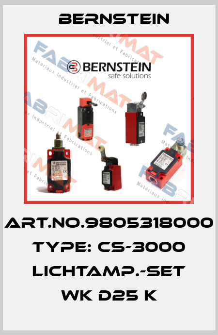 Art.No.9805318000 Type: CS-3000 LICHTAMP.-SET WK D25 K Bernstein