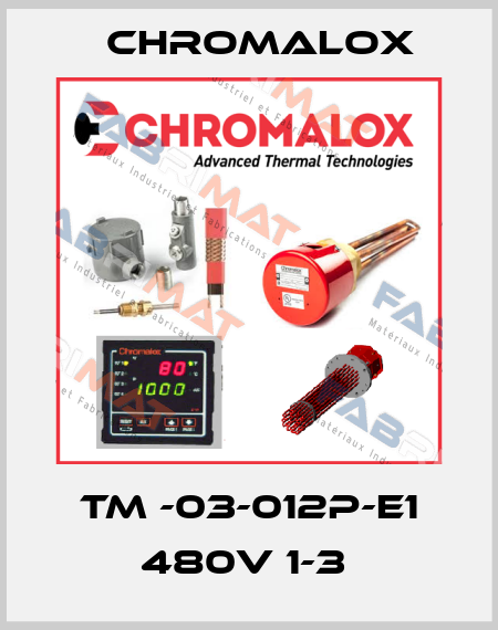 TM -03-012P-E1 480V 1-3  Chromalox