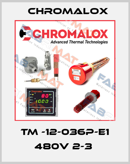TM -12-036P-E1 480V 2-3  Chromalox
