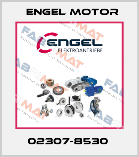 02307-8530  Engel Motor