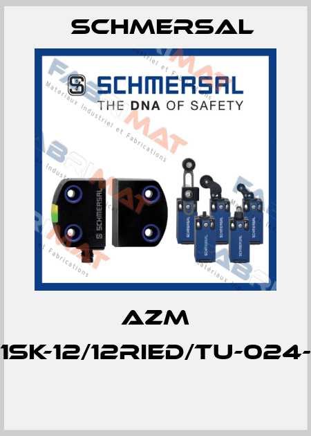 AZM 161SK-12/12RIED/TU-024-B1  Schmersal