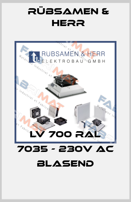 LV 700 RAL 7035 - 230V AC blasend Rübsamen & Herr