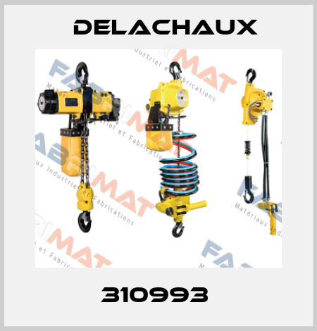 310993  Delachaux