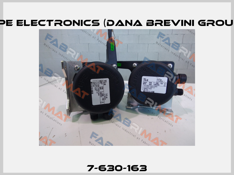 7-630-163 BPE Electronics (Dana Brevini Group)