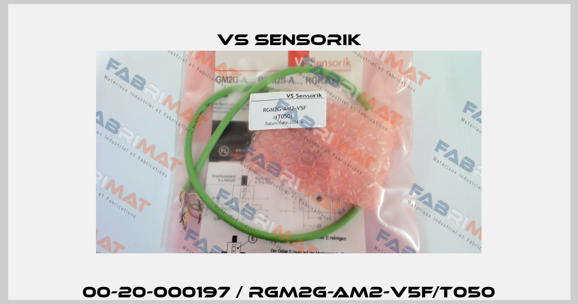 00-20-000197 / RGM2G-AM2-V5F/T050 VS Sensorik