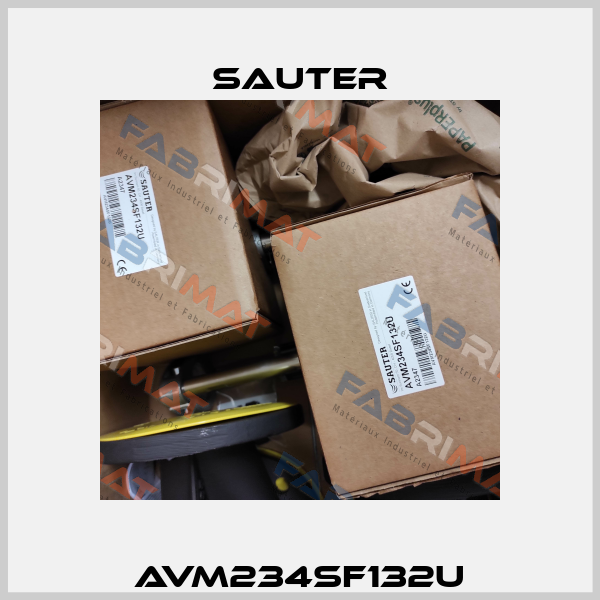 AVM234SF132U Sauter