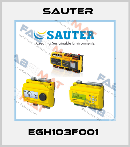 EGH103F001  Sauter