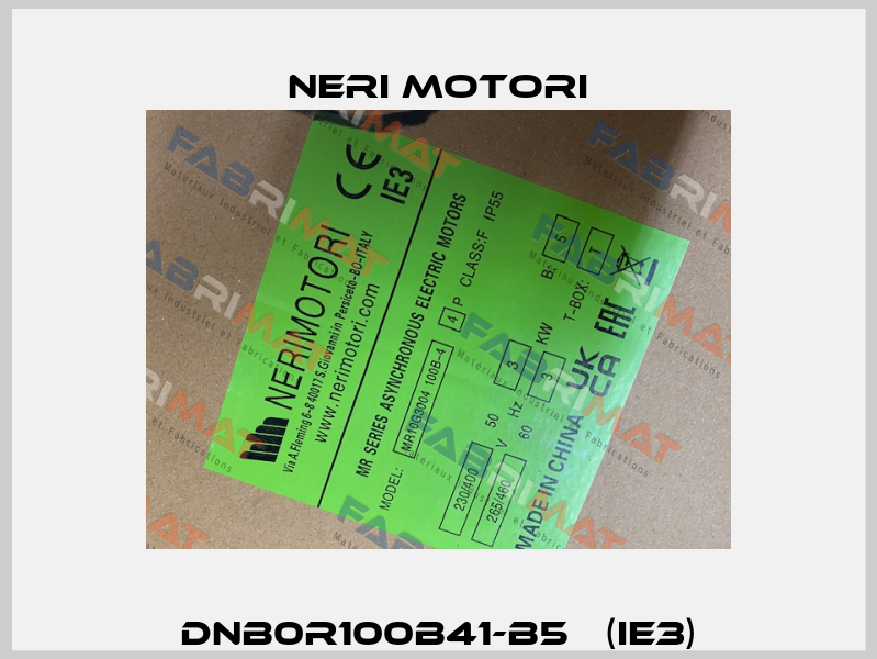 DNB0R100B41-B5   (IE3) Neri Motori