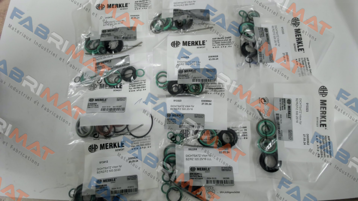 REPAIR KIT FOR BZ 320.25/16.03.201.130.NL33.V Merkle