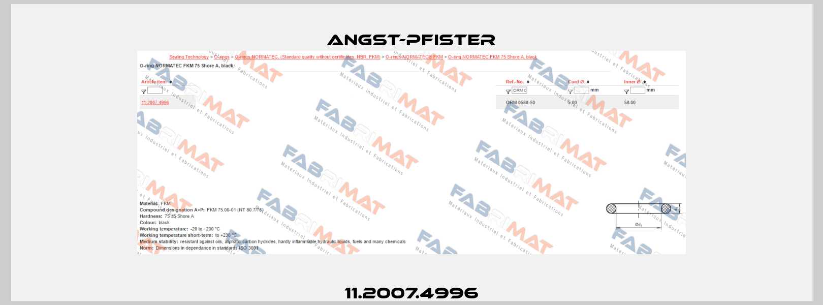 11.2007.4996 Angst-Pfister