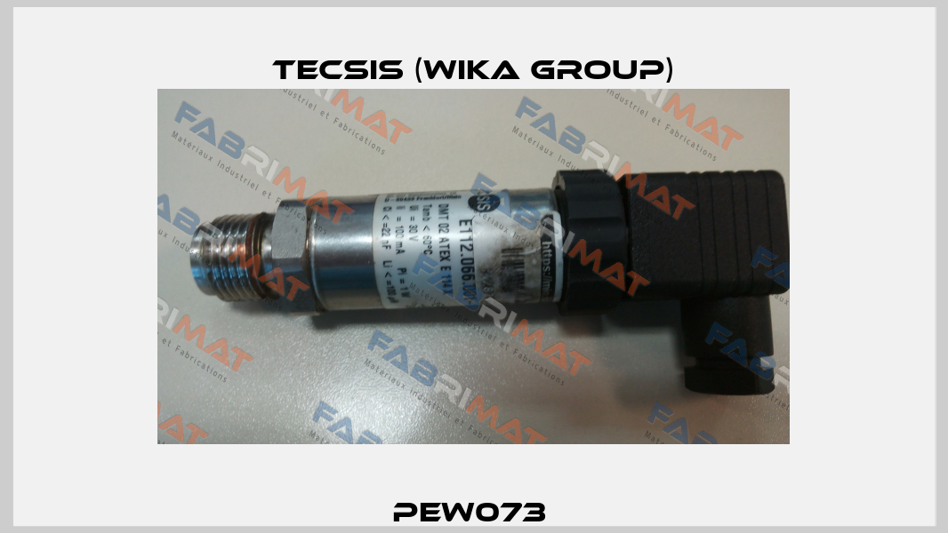 PEW073  Tecsis (WIKA Group)