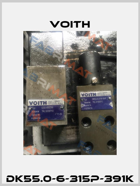 DK55.0-6-315P-391K Voith