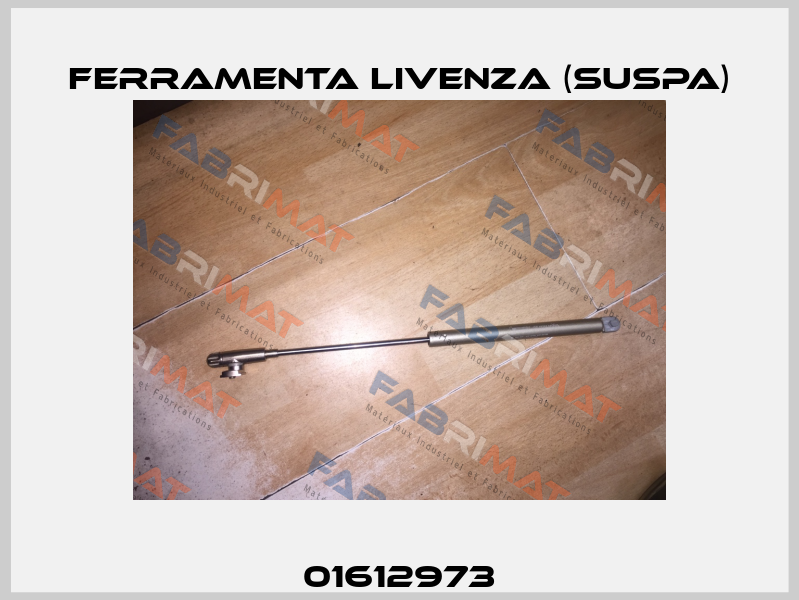 01612973 Ferramenta Livenza (Suspa)