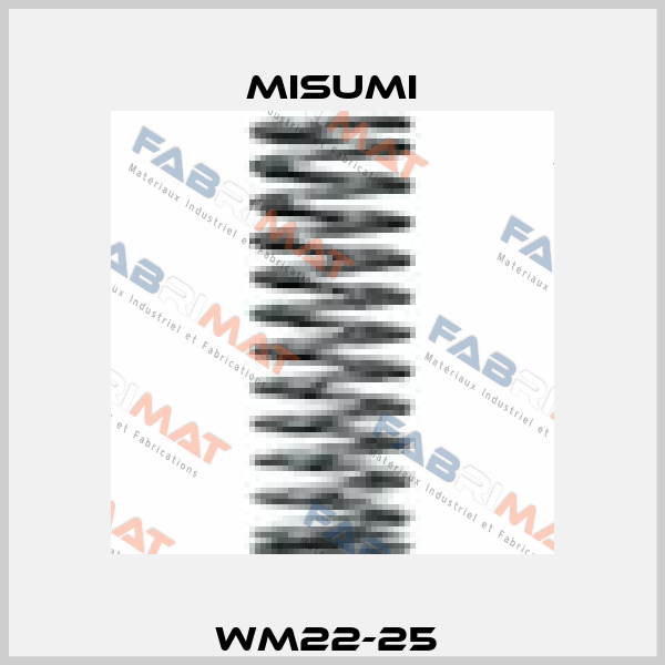 WM22-25  Misumi