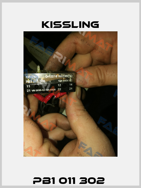 PB1 011 302  Kissling