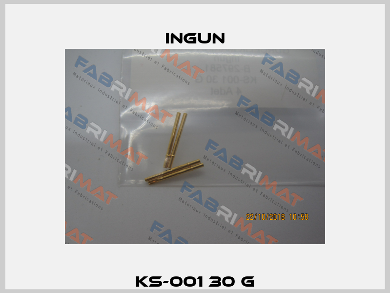 KS-001 30 G Ingun