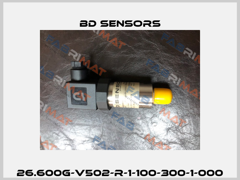 26.600G-V502-R-1-100-300-1-000 Bd Sensors