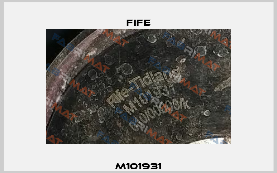 M101931 Fife