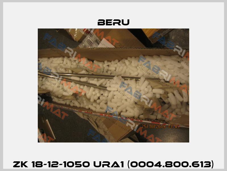 ZK 18-12-1050 URA1 (0004.800.613) Beru
