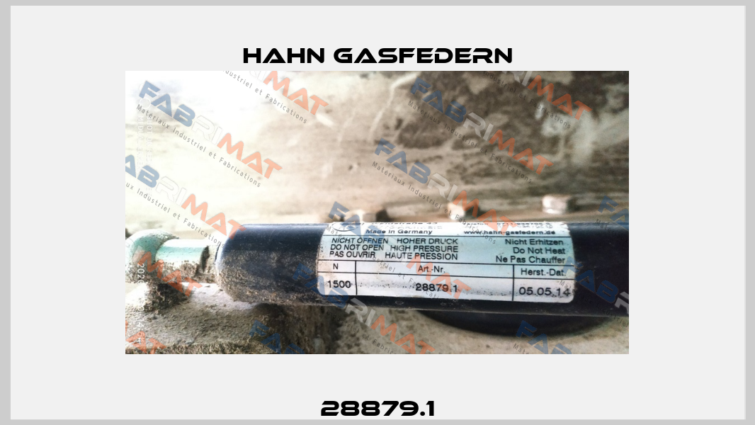 28879.1 Hahn Gasfedern