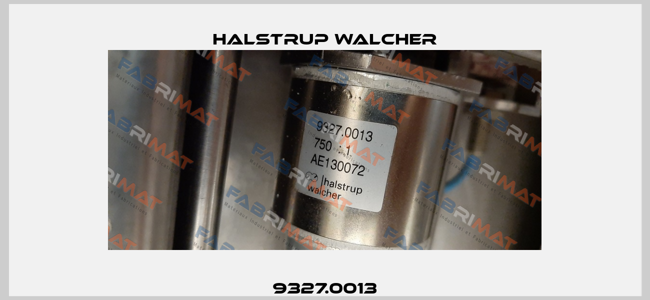 9327.0013 Halstrup Walcher