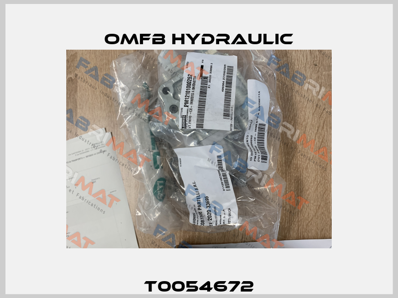 T0054672 OMFB Hydraulic