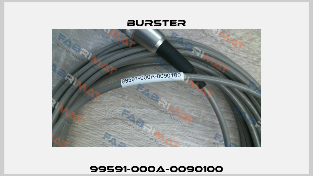 99591-000A-0090100 Burster