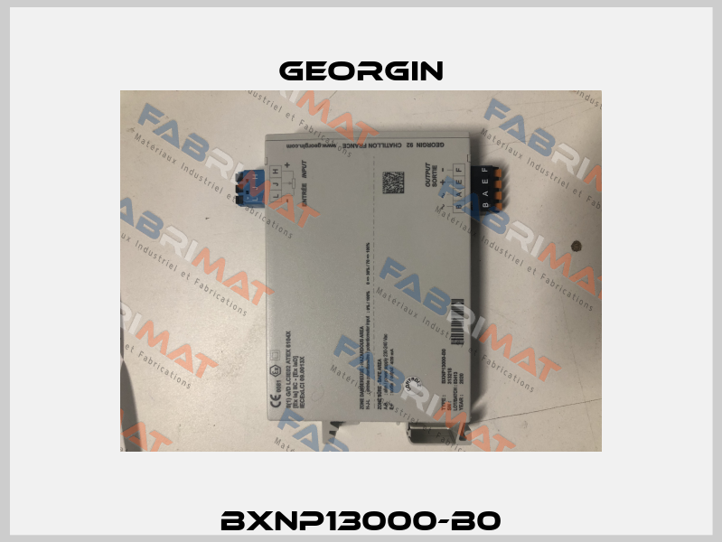 BXNP13000-B0 Georgin