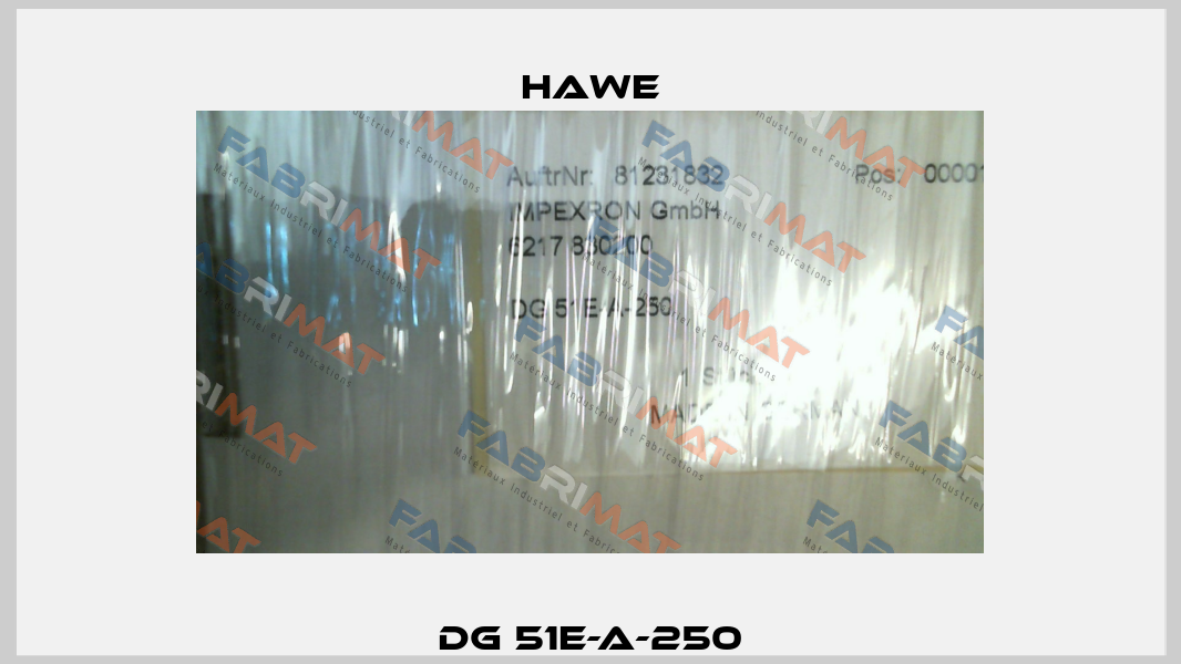 DG 51E-A-250 Hawe